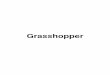 grasshopper explorations