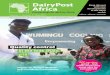 Dairypost africa magazine may2014