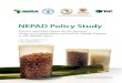 NEPAD Policy Study (English)