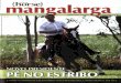 Revista Mangalarga nº 8 - Abril 2009