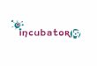 Franchising incubator107