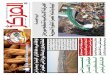 صحيفة المركز الأسبوعية , العدد 234 , الجمعة 14.12.2012
