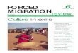 Forced Migration Review Issue 6