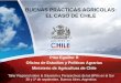 Buenas Prácticas Agrícolas (BPA) - El Caso de Chile