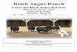 Reich Angus Ranch 2 Year Old Bull Sale 2012