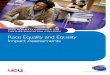 Race Equality and Equality Impact Assessments