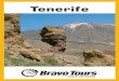 Tenerife miniguide