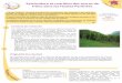 Sylviculture et nutrition des accrus defrêne dans les Hautes-Pyrénées