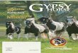 Gypsy Horse Journal (Spring/Summer 2012)