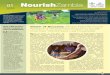 Nourish Zambia Newsletter, Issue No. 1 (Sept-Dec 2012)