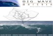 Big Wave Watcher