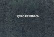 Tyran Hawthorn Portfolio 2014