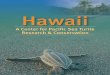 Hawaii: A Center for Pacific Sea Turtle Research & Conservation