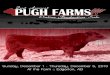 2nd Annual Pugh Farms 2013 Online Production Sale