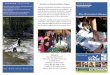 UVM Watershed Alliance Brochure