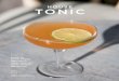 House Tonic Issue 13