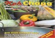Koh Chang Restaurants, Bars and Spas