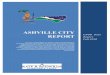 IsPOD DISTRICT REPORT - ASHVILLE CITY 11APR08