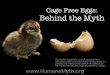 Cage-free Eggs: Behind the Myth