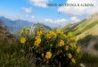 Hiking albania & macedonia