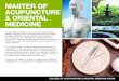 Master of Acupuncture & Oriental Medicine