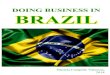 Model of investment in Brazil