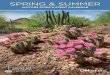 Spring and Summer Guide and Event Calendar