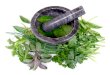 Lipoma herbal treatment