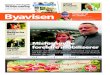 Byavisen - avis33 - 2011