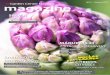 Garden Center Navarro Magazine #3