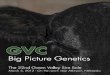 GVC Big Picture Genetics