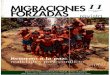 Revista Migraciones Forzadas 11