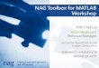 NAG Toolbox for MATLAB