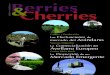 Berries & Cherries - Edición 1