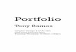Tony's portfolio