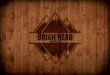 Brian Head Style Guide