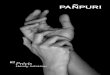 Pañpuri Précis 02 - Handy Solutions