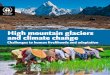 High mountain glaciers and climate change - Challenges to human livelihoods and adaptation