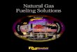 Natural Gas Fueling Solutions