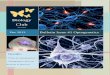 Bio club bulletin first issue : optogenetics