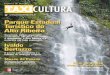 Revista Taxicultura - Edição 08