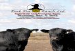 Peak Dot Ranch Fall Bull & Female Sale 2013