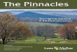 The Pinnacles - Winter/Spring 2011