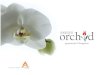 Saroj orchid e brochure