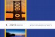 Centerstone Research Institute Annual Report 2012