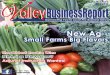 Valley Business Report April 2013