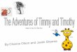 Period 6, Chance, Justin Adventures of Timmy and Timothy