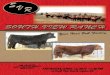 South View Ranch 10th Annual Red & Black Angus Bull Sale