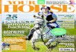 Your Horse May Issue