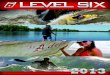 Level Six 2013